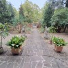 027__giardino_comune__2